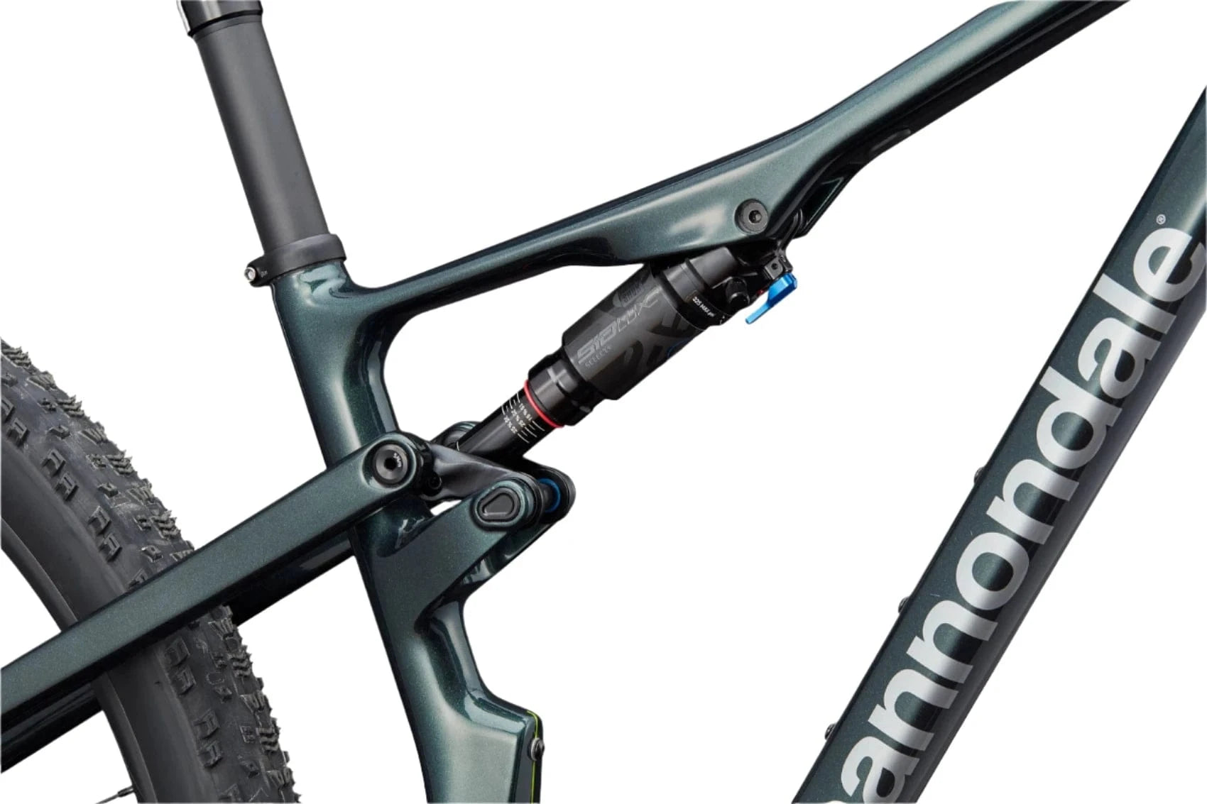 Cannondale Scalpel Carbon 3 Bikes - Mountain