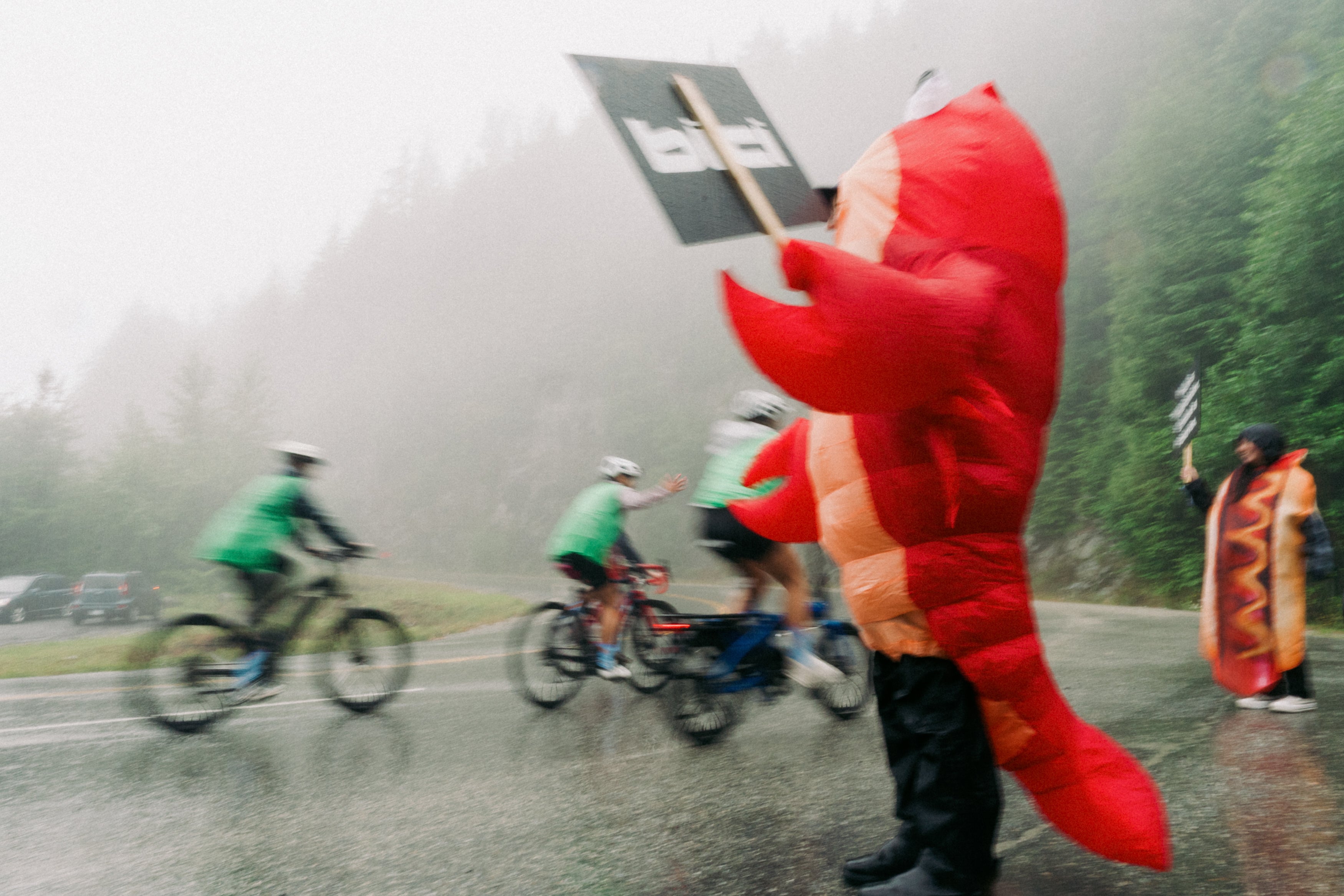 The Beedie Living Cypress Challenge: Thanks for Climbing With Us