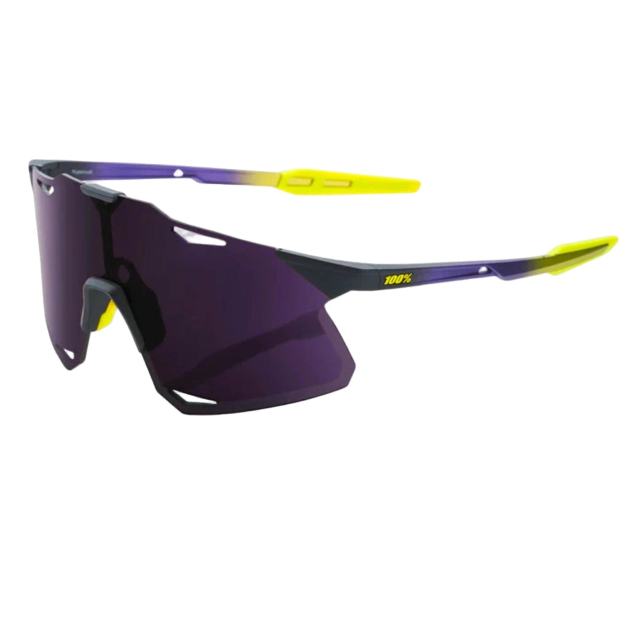 100% Hypercraft Matte Metallic Digital Brights/Dark Purple Lens Apparel - Apparel Accessories - Sunglasses