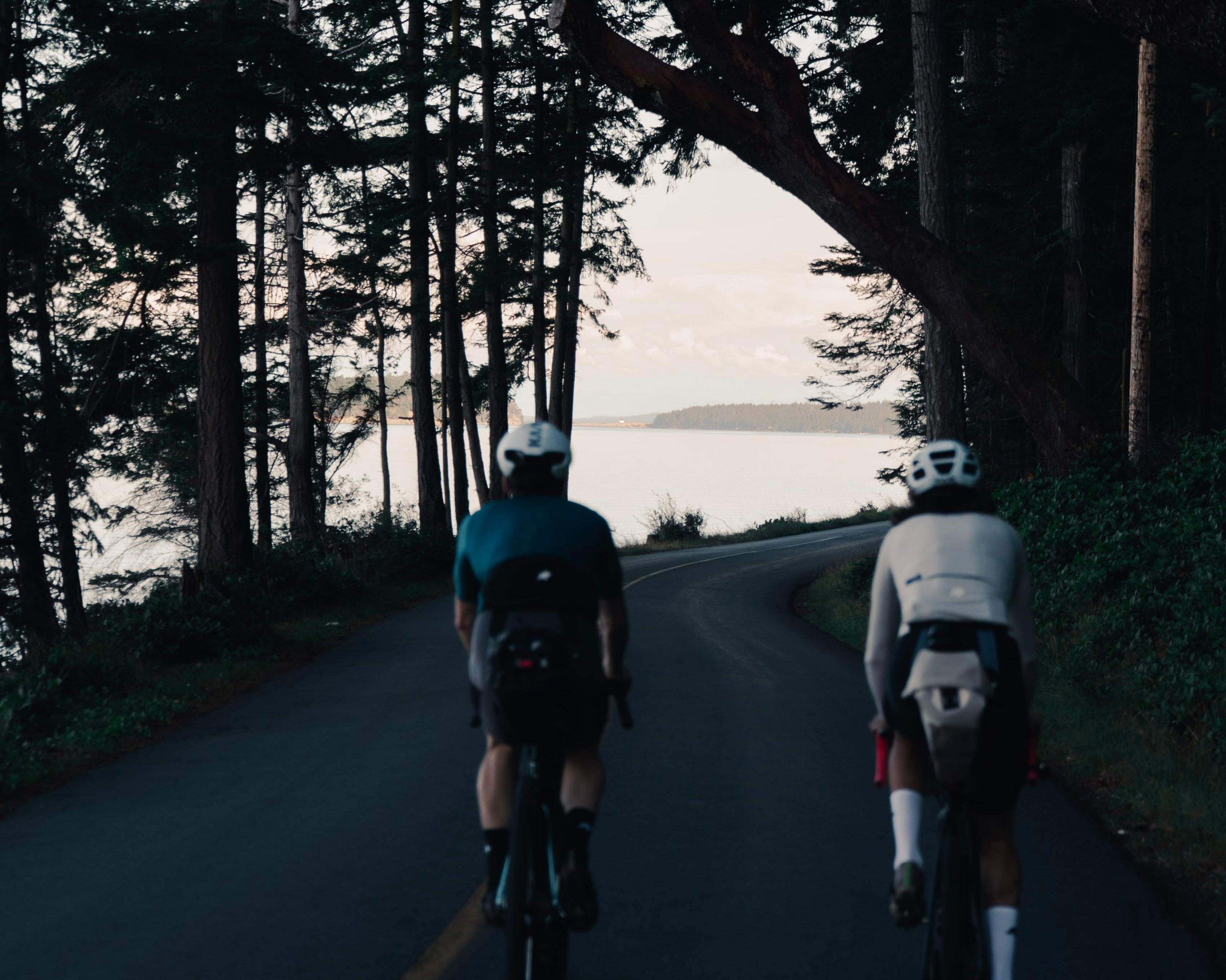 Two cyclists ride away on a dark forest road with water visible in the distance at dusk or dawn.