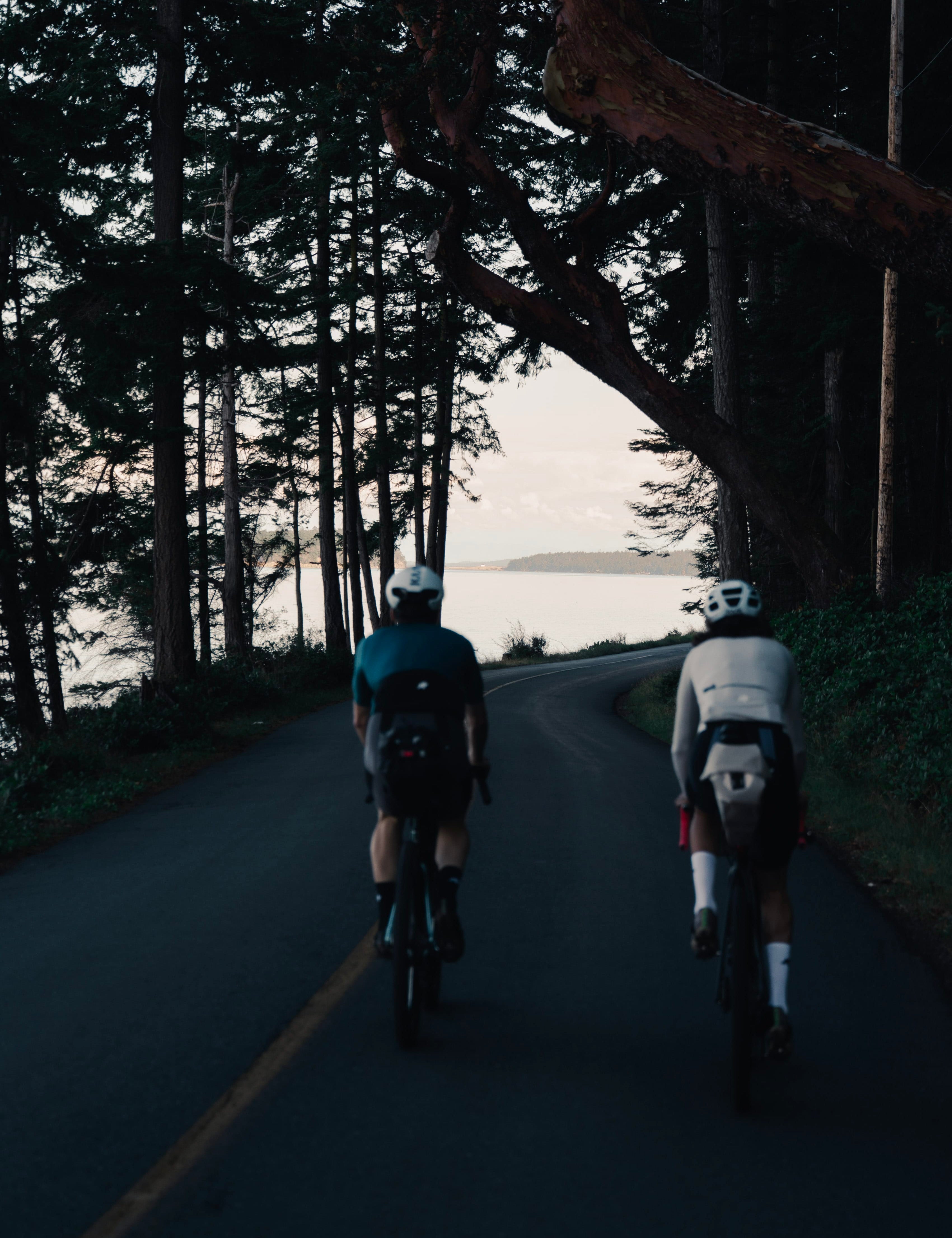 Two cyclists ride away on a dark forest road with water visible in the distance at dusk or dawn.