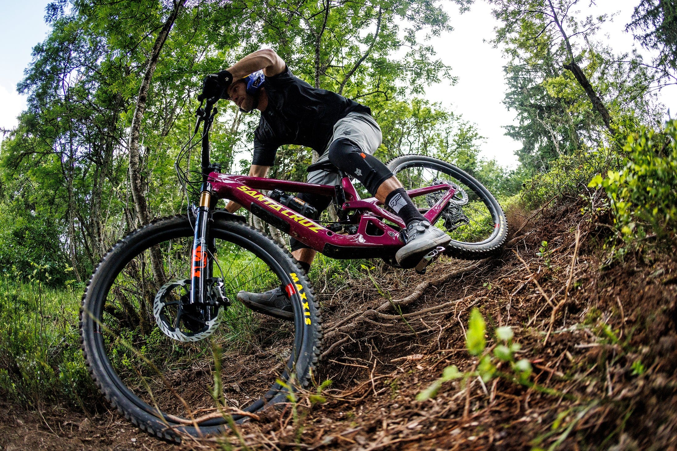 Santa Cruz | Bici.cc - Canada's Leading Bike Retailer