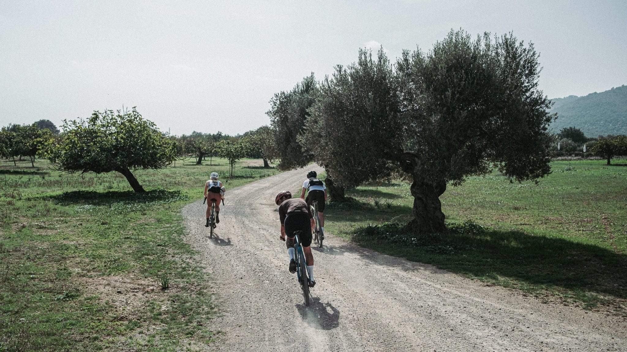 brunaboinne バッカスサイクリングコート XL Bikes | Trek, Factor, Ibis & More | Bici - Canada's Leading