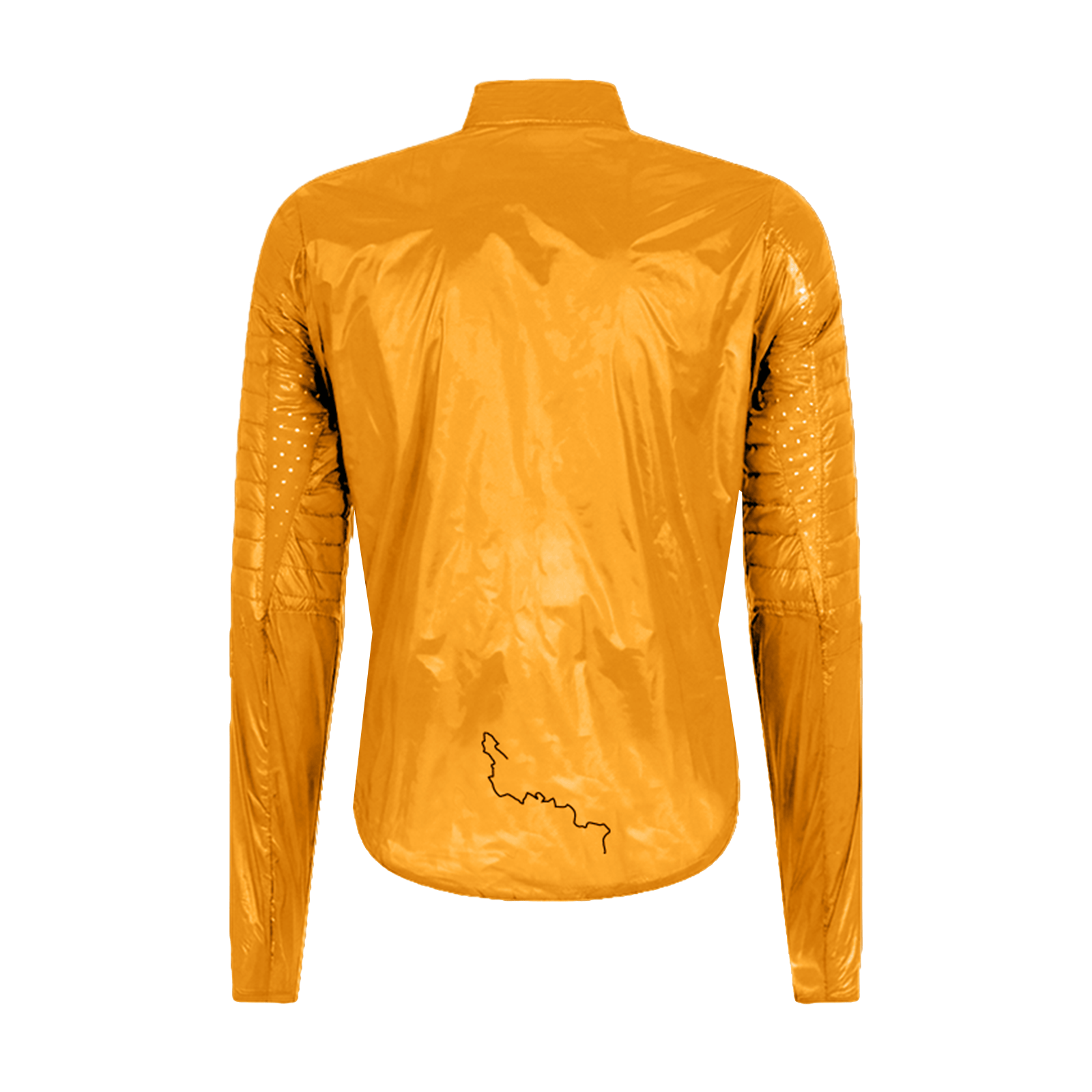 Albion Women's Ultralight Insulated Jacket Apparel - Clothing - Women's Jackets - Road