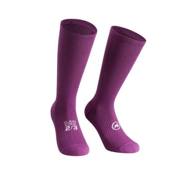 Alchemy Purple