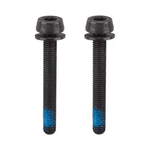 Campagnolo, Rear caliper mounting screws, 25-29mm Parts - Brake Small Parts