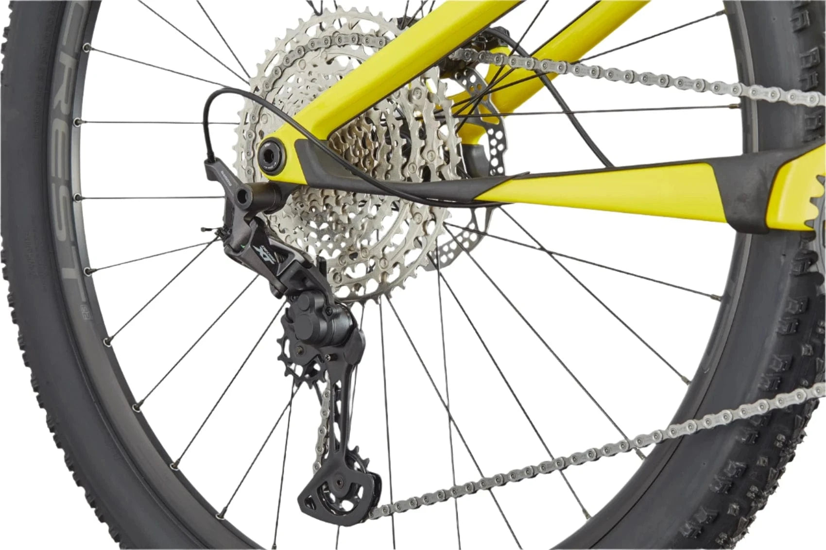 Cannondale Scalpel Carbon 4 Bikes - Mountain