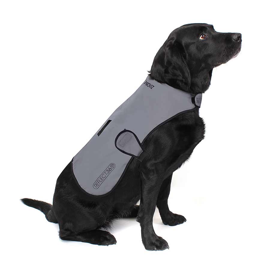 Dog Cover Safety Items