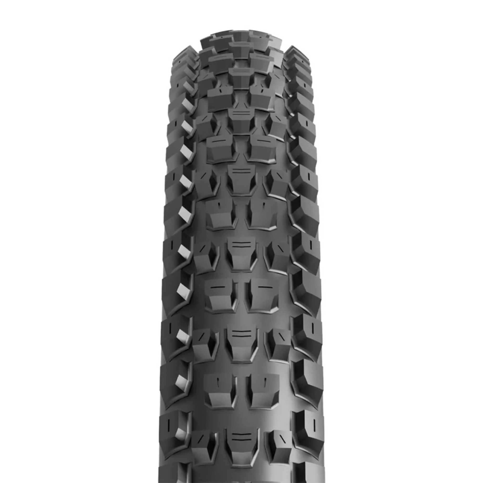 Maxxis Dissector 2 TR EXO+ 3C Tire Parts - Tires - Mountain