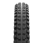 Maxxis Minion DHX Mountain Tires