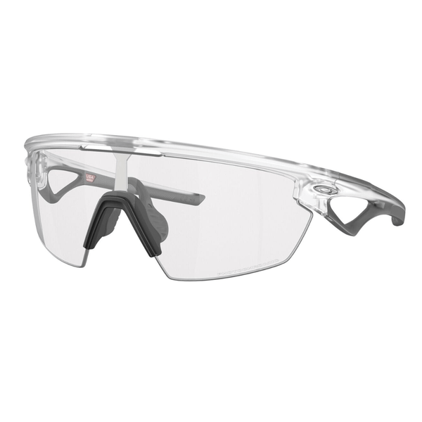 Clear To Black Iridium Photochromic Lenses  Matte Clear Frame
