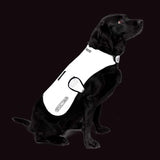 Proviz Dog Cover Proviz, Dog Cover, Silver, XL Safety Items