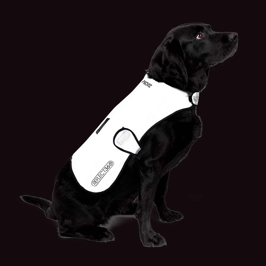 Proviz Dog Cover Proviz, Dog Cover, Silver, XL Safety Items