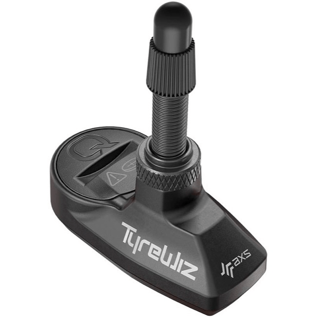 Quarq TyreWiz 2.0 Sensors Parts - Valves