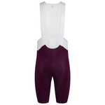 Rapha Men's Pro Team Bib Shorts III - Regular Apparel - Clothing - Men's Bibs - Road - Bib Shorts