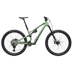 Rental - Stumpjumper 15 EVO Expert