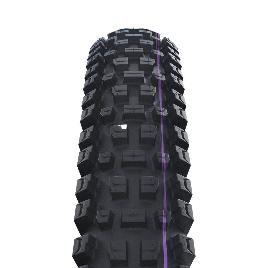 Schwalbe Albert Gravity Pro Radial Tire, 29 x 2.50 (63-622), Black, Tubeless Ready, Soft, Folding Parts - Tires - Mountain