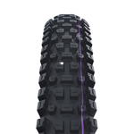Schwalbe Albert Gravity Pro Radial Tire, 29 x 2.50 (63-622), Black, Tubeless Ready, Soft, Folding Parts - Tires - Mountain