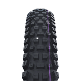 Schwalbe Albert Gravity Pro Radial Tire, 29 x 2.50 (63-622), Black, Tubeless Ready, Soft, Folding Parts - Tires - Mountain
