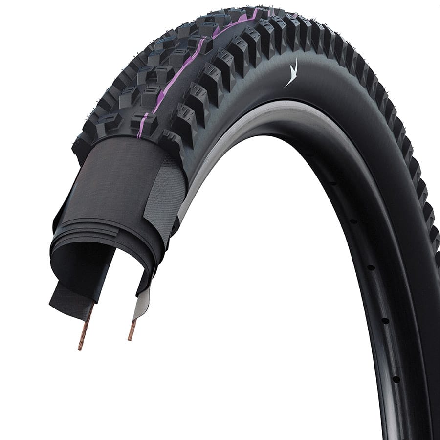 Schwalbe Tacky Chan Gravity Pro Mountain Tires