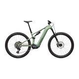 Specialized Levo R Expert Pistachio/Dark Moss Green / S2 Bikes - eBikes - Mountain