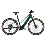 Trek FX+ 1 Midstep Juniper M Bikes - eBikes - Commuter