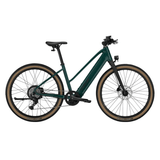 Trek FX+ 1 Midstep Juniper M Bikes - eBikes - Commuter