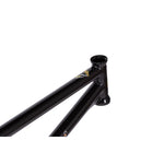 WeThePeople Doomsayer BMX Frames