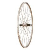 Wheel Shop Alex DA22/ Shimano RS400 Silver FH-RS400 Silver, Wheel, Rear, 700C / 622, Holes: 32, QR, 130mm, Rim, Shimano HG 11 / 700 Wheels