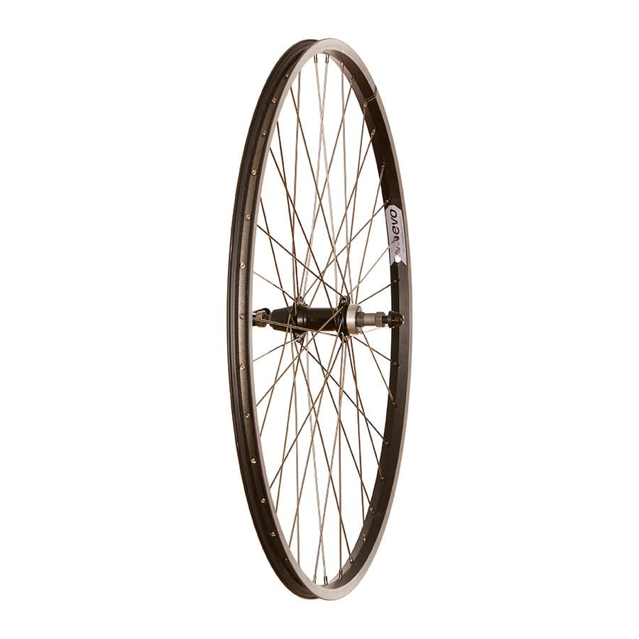 Wheel Shop Evo Tour 20 Black QR 700C / 29'' Wheel Shop, Evo Tour 20, Wheel, Rear, 700C / 622, Holes: 36, QR, 135mm, Rim, Freewheel Wheels