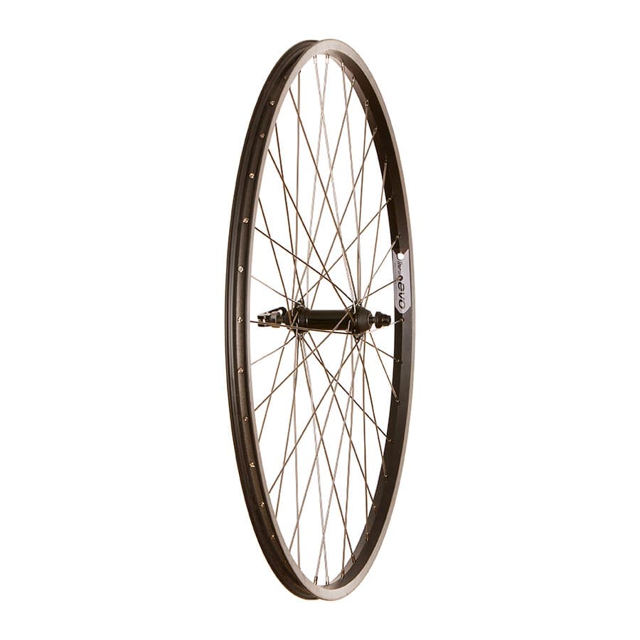 Wheel Shop Evo Tour 20 Black QR 700C / 29" Rear, 700C / 622, Holes: 36, QR, 135mm, Rim, Shimano HG / 700 Wheels