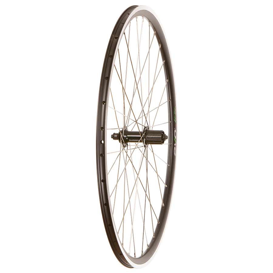 Wheel Shop Road - 700C - Evo Tour 16 Black/Stainless Shimano Tiagra FH-RS400 Black, Wheel, Rear, 700C / 622, Holes: 32, QR, 130mm, Rim, Shimano HG 11 / 700 Wheels