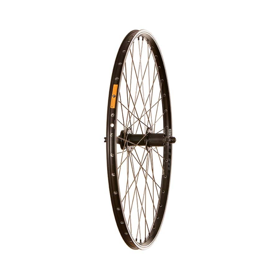 Wheel Shop, WTB DX18, Wheel, Rear, 26'' / 559, Holes: 36, QR, 135mm, Rim and Disc IS 6-bolt, Shimano HG Default Title / 26 Wheels